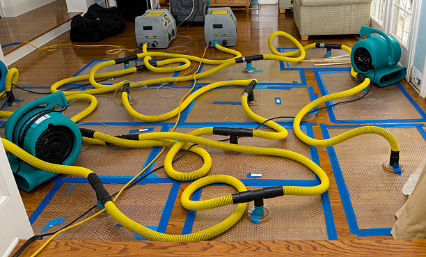 Professional Water Extraction technician working in La Salle, CO